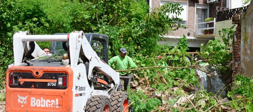 Desmalezamiento y desratización del predio abandonado en Perón entre Don Orione y Palacios