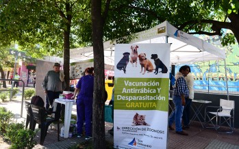 “El Municipio en tu Barrio” estará esta semana en Don Mariano, San Jorge y Avellaneda y Tupac Amaru