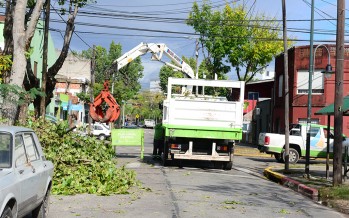 Tareas preventivas realizadas por el área de emergencias del municipio ante el fuerte temporal