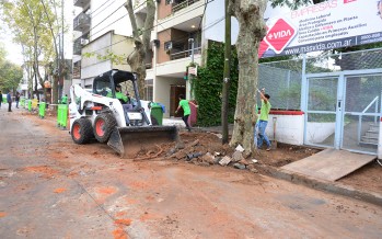 Renuevan veredas de la calle Belgrano