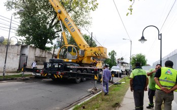 Personal de emergencias intervino tras la caída de un árbol sobre una vivienda de la calle Malvinas Argentinas