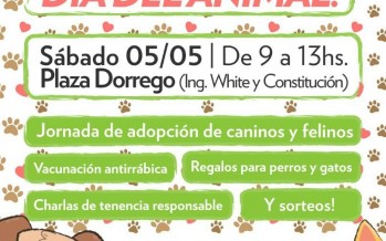 Evento reprogramado: festejo por el Día del Animal en Plaza Dorrego