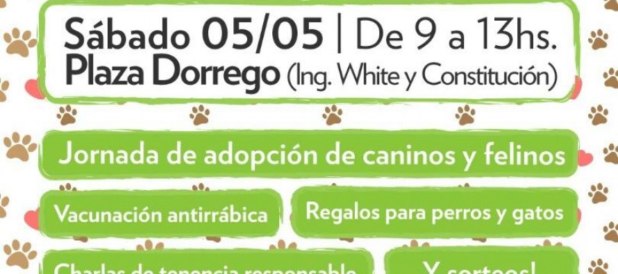 Evento reprogramado: festejo por el Día del Animal en Plaza Dorrego