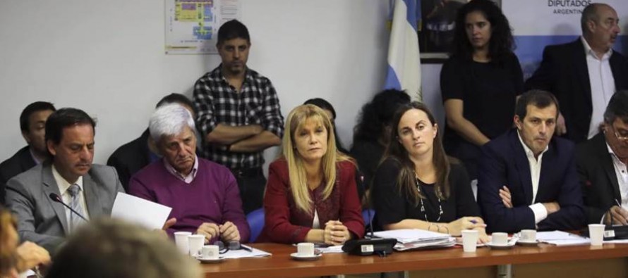 Andreotti expresó la preocupación por los tarifazos ante los diputados