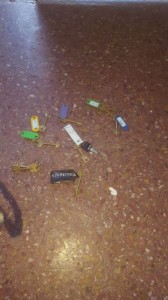 WhatsApp Image 2018-05-13 at 11.53.24 (2)