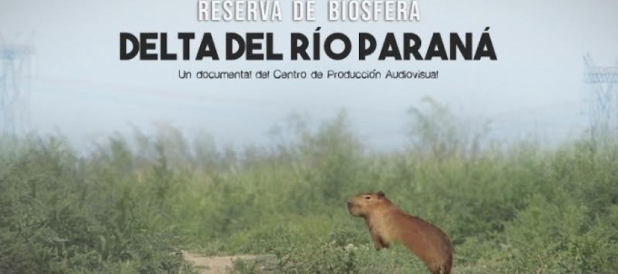 Reserva de Biósfera, un documental sobre la vida en el Delta sanfernandino