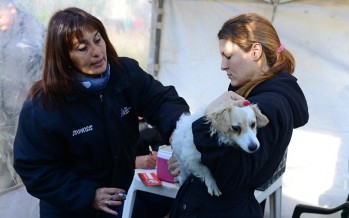 El «Municipio en tu Barrio» volvió a La Esperanza