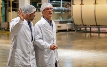 Molinos reportó pérdidas por la caída del consumo