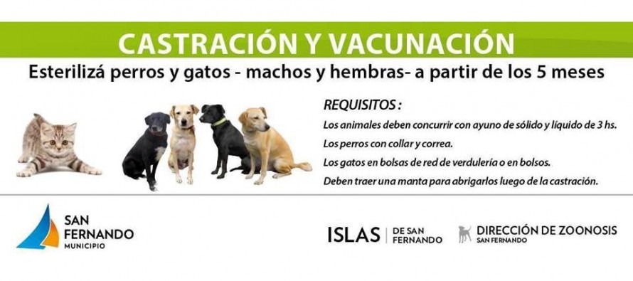 Se realizará un operativo de zoonosis en el Arroyo Felicaria