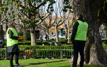 Primer censo del estado y salud del arbolado público de nuestra ciudad