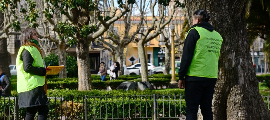 Primer censo del estado y salud del arbolado público de nuestra ciudad