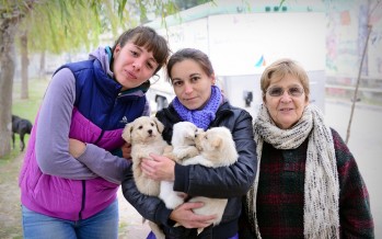 “El Municipio en tu Barrio” estará esta semana en El Pueblito, en el barrio San Martín y en el Centro de Salud Galvez