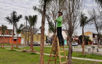 Trabajos de forestación y parquización en Villa Jardín