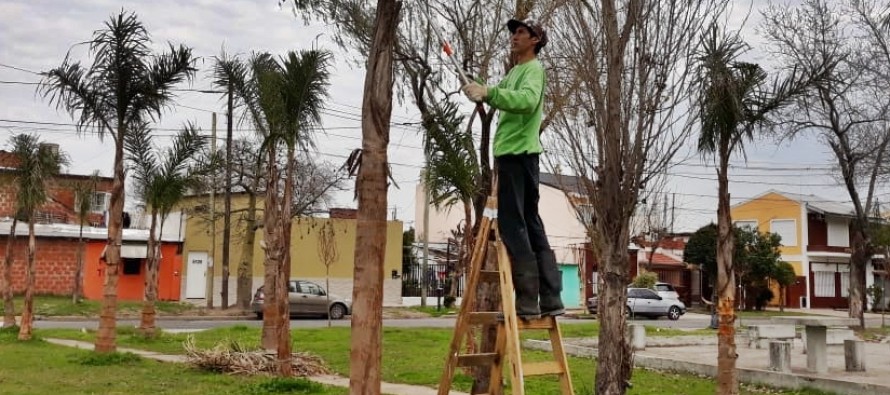 Trabajos de forestación y parquización en Villa Jardín