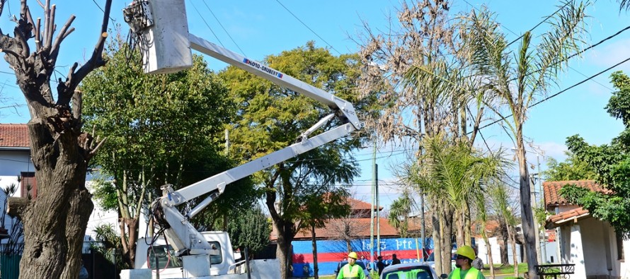 Hasta fines de agosto continuará la poda correctiva en nuestra ciudad