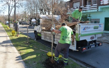 El Plan de Forestación llegó al barrio Fate