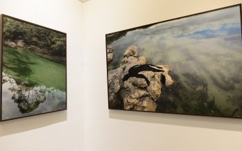 Circuito cultural artístico en la Quinta El Ombú y el Museo de la Ciudad