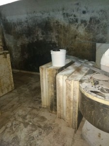 WhatsApp Image 2018-08-02 at 13.33.15