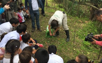 Liberaron animales en cautiverio en la Reserva de Biósfera del Delta