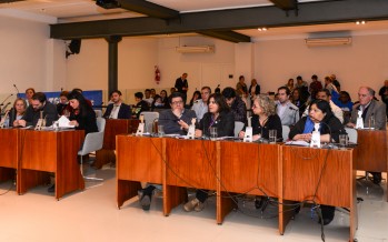 El Concejo Deliberante repudió por amplia mayoría el recorte de pensiones a personas con discapacidad
