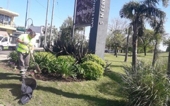 Limpieza general, riego y poda correctiva en la Plaza Infico