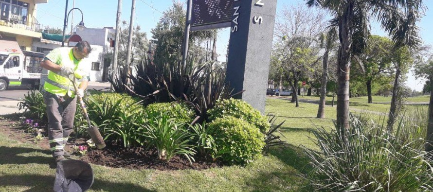 Limpieza general, riego y poda correctiva en la Plaza Infico