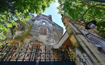 Limpieza, fumigación y desratización del Palacio Otamendi