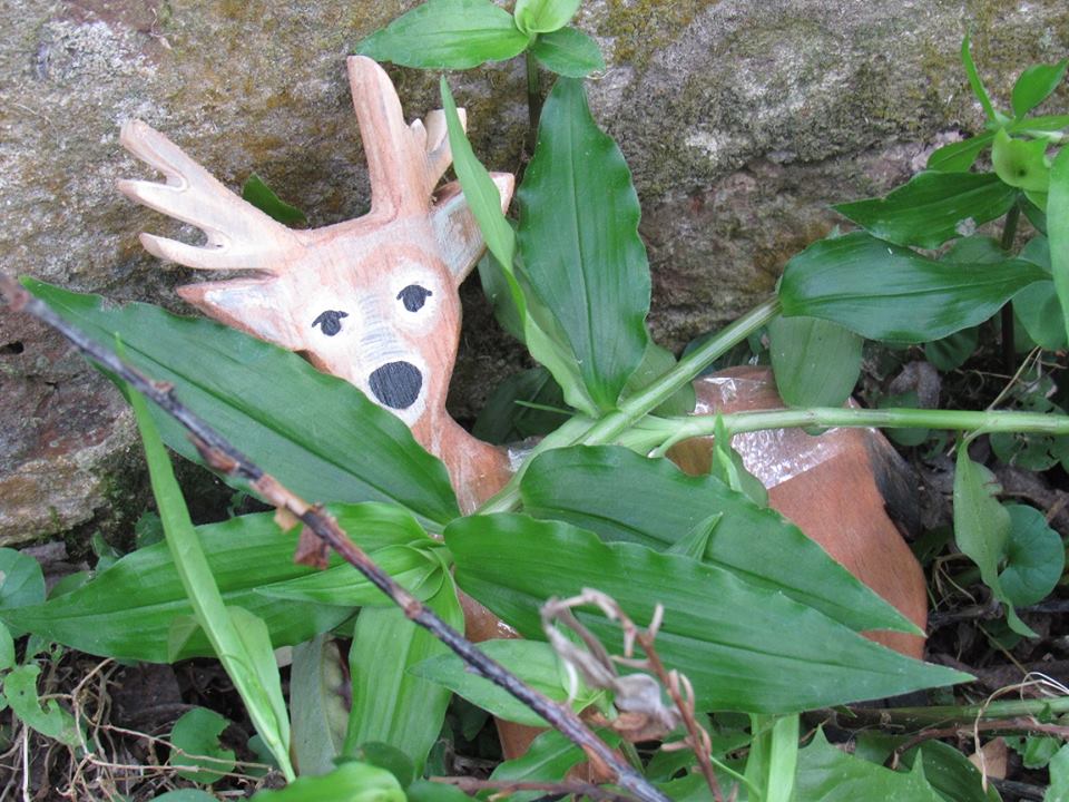 46519675_1050347641838803_3474459415241818112_n