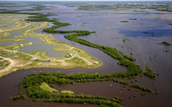 El rol del municipio frente al cambio climático