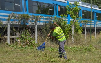 Trabajos de desmalezamiento en vías del Tren Mitre