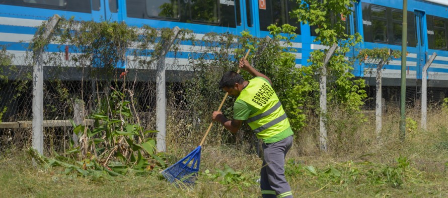 Trabajos de desmalezamiento en vías del Tren Mitre