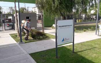 Control de plagas en los polideportivos de nuestra ciudad