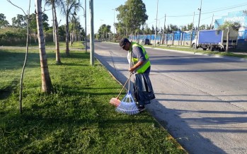Tareas de mantenimiento y limpieza en Ruta 202 y en Avenida Avellaneda