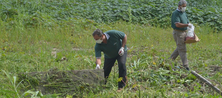 Limpieza y control de plagas en alrededores de la calle Miguel Cané