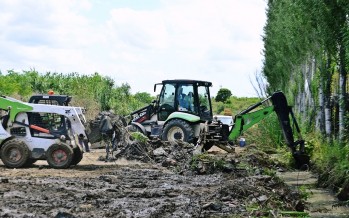 Operativos de mantenimiento de espacios verdes en barrios de Virreyes