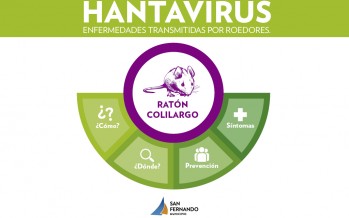 Hantavirus: operativo en Infico y recomendaciones para evitar la aparición de roedores