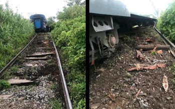 Descarriló un tren de pasajeros de la Línea Mitre ramal Victoria-Capilla del Señor