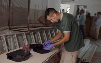 Operativos de desratización en las escuelas de nuestra ciudad