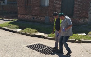 Tareas de control de plagas en los barrios Alvear y San José