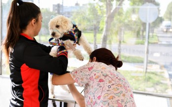 ‘El Municipio en tu barrio’ estará esta semana en distintos puntos de nuestra ciudad