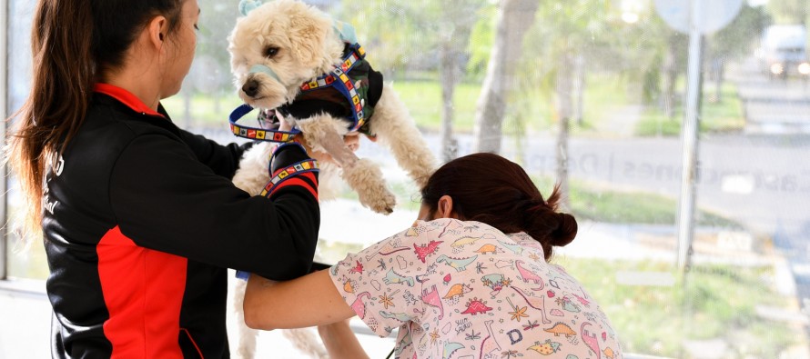 ‘El Municipio en tu barrio’ estará esta semana en distintos puntos de nuestra ciudad