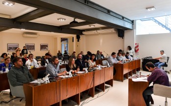 El Concejo Deliberante pidió que la Provincia intervenga en la problemática del transporte fluvial
