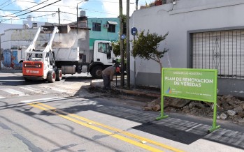 Continúa la renovación de las avenidas de nuestra ciudad