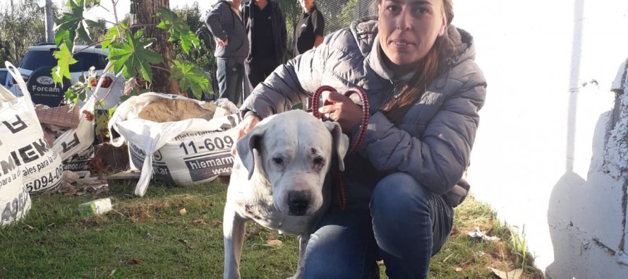 Gracias a la solidaridad de todos Pancho se reencontró con su dueña