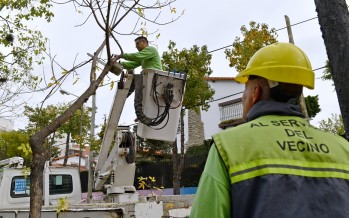 Comenzaron los trabajos de poda correctiva en nuestra ciudad