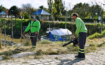 Comenzaron las tareas de mantenimiento del predio anexo a la Costanera Pública