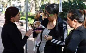 El Día del Animal se festejó con un operativo en la Plaza Mitre