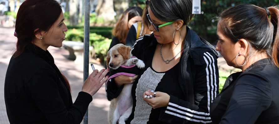 El Día del Animal se festejó con un operativo en la Plaza Mitre
