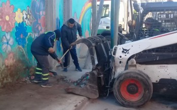 Operativo de limpieza y ordenamiento en el barrio San Jorge