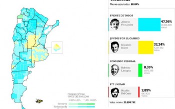 Qué pasó en las PASO